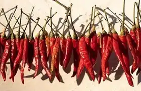 Places, Where Kurdish is spoken