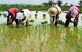 Places where Tagalog is spoken