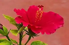 Places where Kannada is spoken